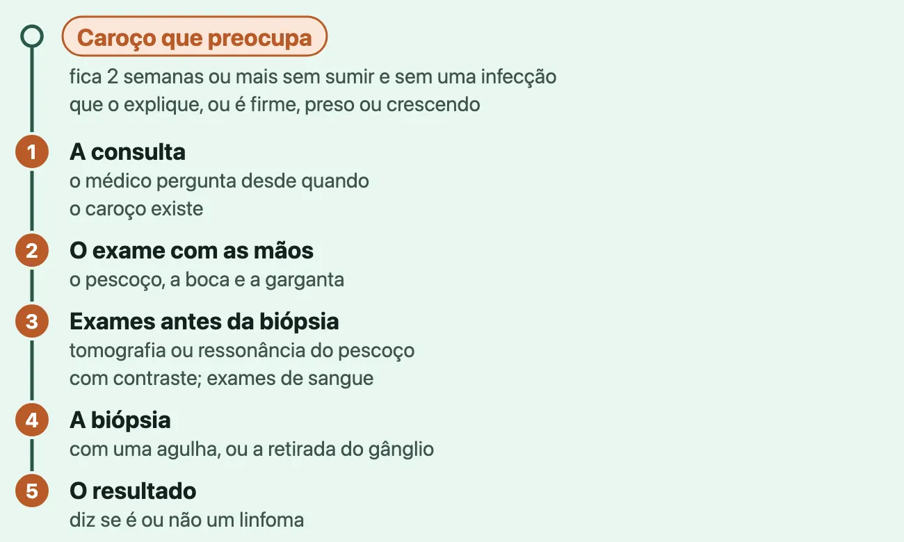Linha do tempo: um caroço que preocupa, por 2 semanas ou mais ou por ser firme, preso ou crescendo; depois, em ordem, a consulta, o exame com as mãos do pescoço, da boca e da garganta, a tomografia ou ressonância e exames de sangue, a biópsia e o resultado.