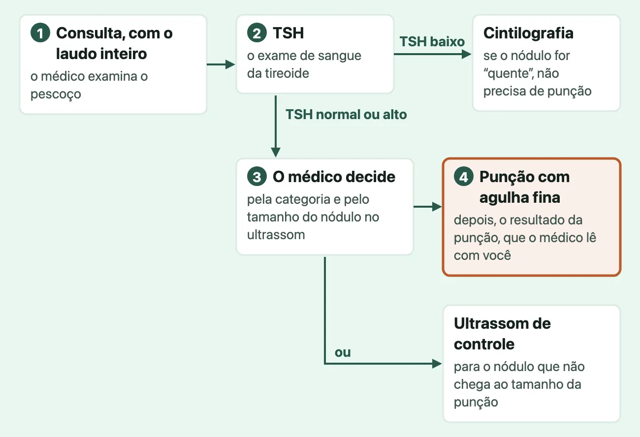 Fluxo dos passos depois do laudo do ultrassom da tireoide: consulta com o laudo inteiro, exame do TSH; com TSH baixo, cintilografia; com TSH normal ou alto, o médico decide pela categoria e pelo tamanho do nódulo entre a punção com agulha fina, seguida do resultado, e o ultrassom de controle.
