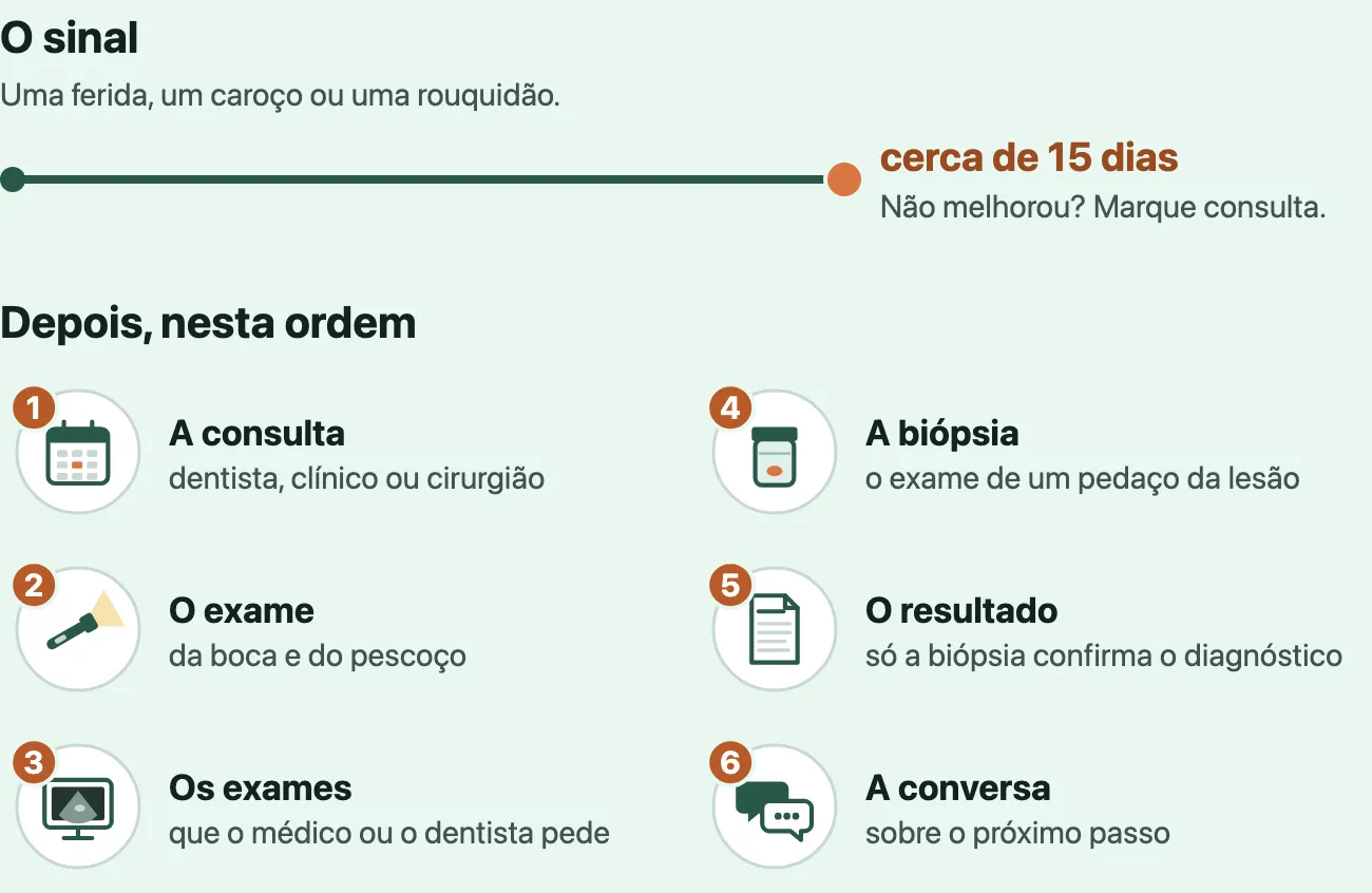 Linha do tempo que começa no sinal, uma ferida, um caroço ou uma rouquidão, e vai até uma marca laranja em cerca de 15 dias: não melhorou, marque consulta. Depois, em seis passos numerados, cada um com um pequeno desenho: a consulta, com o dentista, o clínico ou o cirurgião (um calendário); o exame da boca e do pescoço (uma lanterna); os exames que o médico ou o dentista pede (uma tela com uma imagem); a biópsia, o exame de um pedaço da lesão (um frasco com um pedacinho dentro); o resultado, que só a biópsia confirma (uma folha); e a conversa sobre o próximo passo (dois balões de fala).