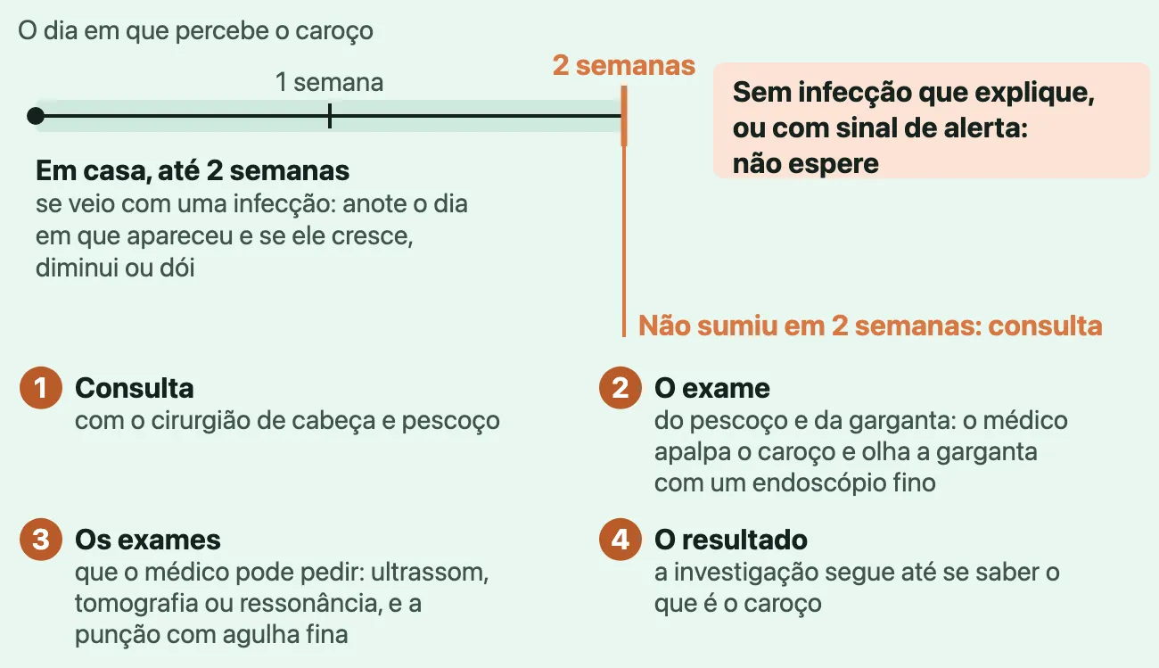 Linha do tempo que começa no dia em que a pessoa percebe o caroço: até 2 semanas, em casa, se ele veio com uma infecção, anotar o dia em que apareceu e se ele cresce, diminui ou dói, com o aviso "Sem infecção que explique, ou com sinal de alerta: não espere"; em 2 semanas, uma marca laranja, "Não sumiu em 2 semanas: consulta"; depois, em ordem, a consulta com o cirurgião de cabeça e pescoço, o exame do pescoço e da garganta, os exames (ultrassom, tomografia ou ressonância, punção com agulha fina) e o resultado.