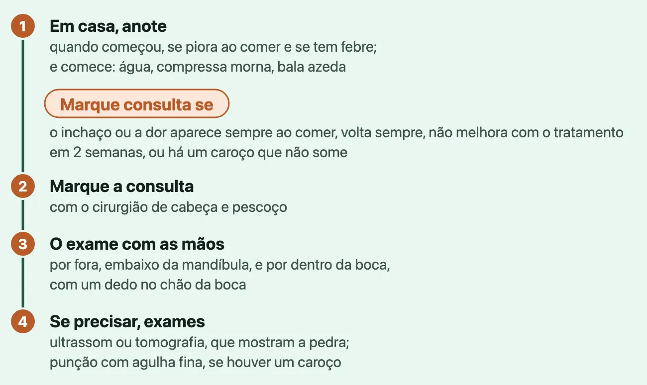 Linha do tempo com quatro passos: em casa, anotar e começar água, compressa morna e bala azeda; marcar a consulta com o cirurgião de cabeça e pescoço se o inchaço ou a dor aparece sempre ao comer, volta sempre, não melhora com o tratamento em 2 semanas, ou se há um caroço que não some; o exame com as mãos, por fora e por dentro da boca; e, se preciso, ultrassom, tomografia ou punção.