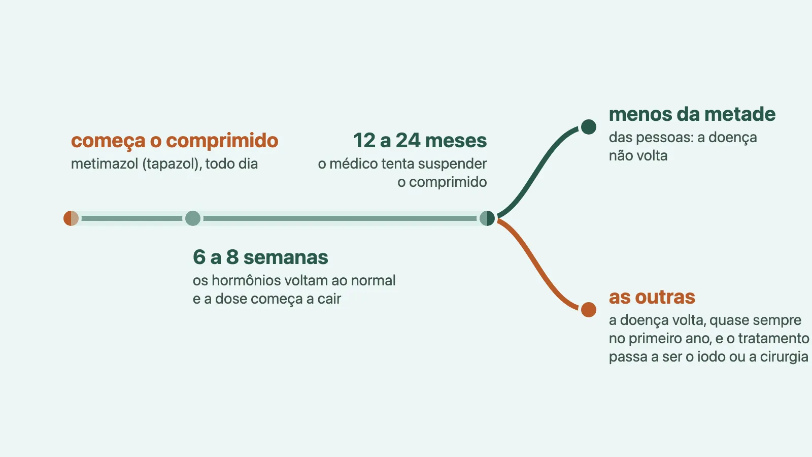 Uma linha do tempo com três marcas e uma bifurcação no fim. Na primeira marca, começa o comprimido, metimazol (tapazol), todo dia; na segunda, 6 a 8 semanas, os hormônios voltam ao normal e a dose começa a cair; na terceira, 12 a 24 meses, o médico tenta suspender o comprimido. Dali saem dois ramos: num, menos da metade das pessoas, a doença não volta; no outro, as outras, a doença volta, quase sempre no primeiro ano, e o tratamento passa a ser o iodo ou a cirurgia.